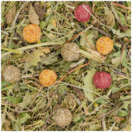 Delizia alle erbe per roditori e conigli nani | Benessere naturale e croccantezza