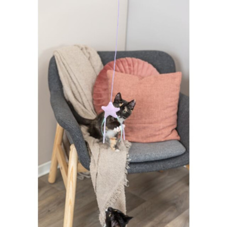 Junior Canna da pesca con stella