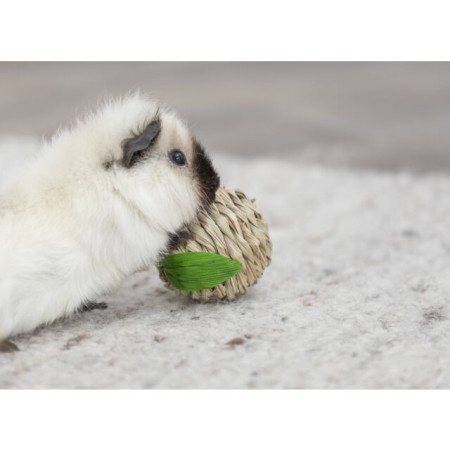 Palla Mela in Paglia di Mais per Roditori – Giocattolo Naturale e Sicuro