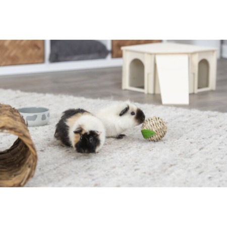 Palla Mela in Paglia di Mais per Roditori – Giocattolo Naturale e Sicuro