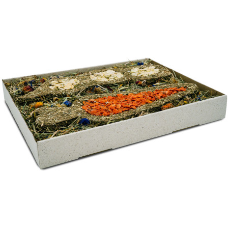 Divertimento XXL per roditori | Pisello e carota gigante con fieno e fiori