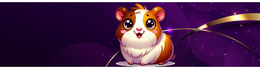 Articoli per Cavie - Cibo, Accessori e Gabbie per Roditori | Creazioni CaviOse