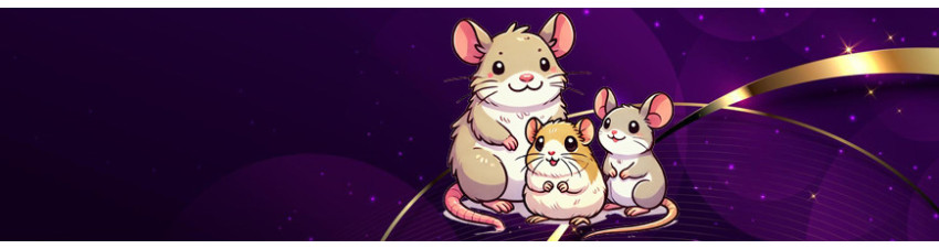 Accessori e Cibo per Criceti, Topolini, Ratti e Degu - Benessere e Comfort