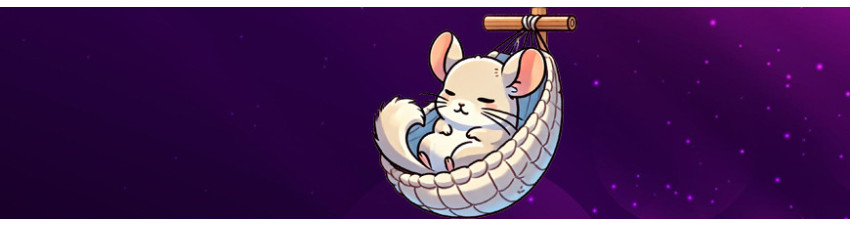 Cucce per Cincillà: Comfort e Sicurezza per il Tuo Piccolo Amico