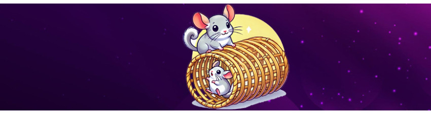 Giochi e Accessori per Cincillà: Stimola la Loro Felicità e Vitalità