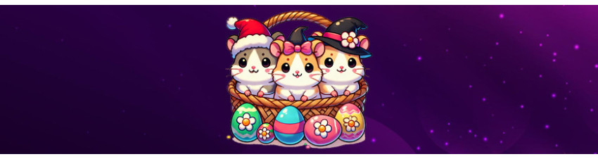 Confezioni Festive Jr Farm per Criceti e Gerbilli - Regali Speciali