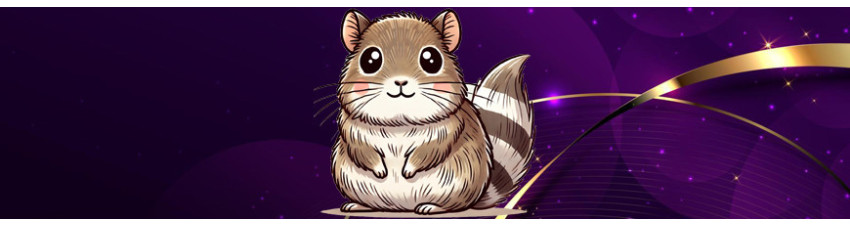 Articoli per Degu del Cile | Comfort e Benessere per i Tuoi Roditori