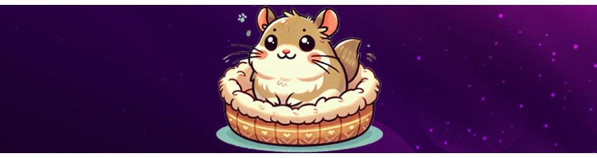 Cucce per Degu | Comfort e Sicurezza per i Tuoi Piccoli Amici