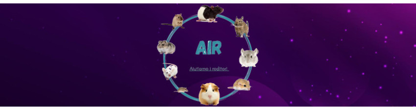 Air - Aiutiamo i Roditori | Box e Accessori per Criceti e Mus